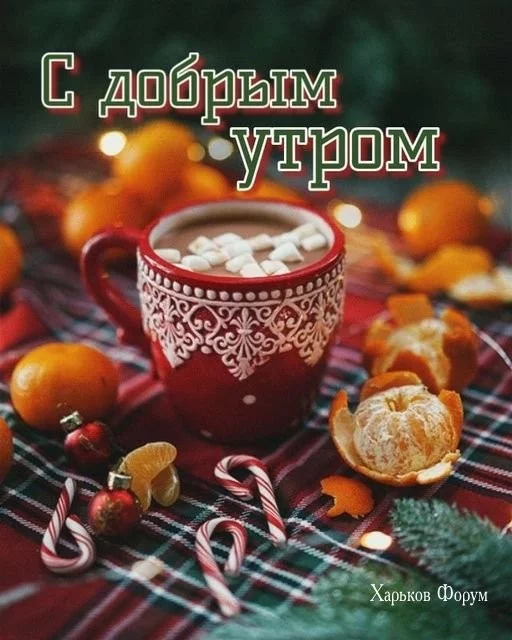 234562961dcd7666960b33.webp