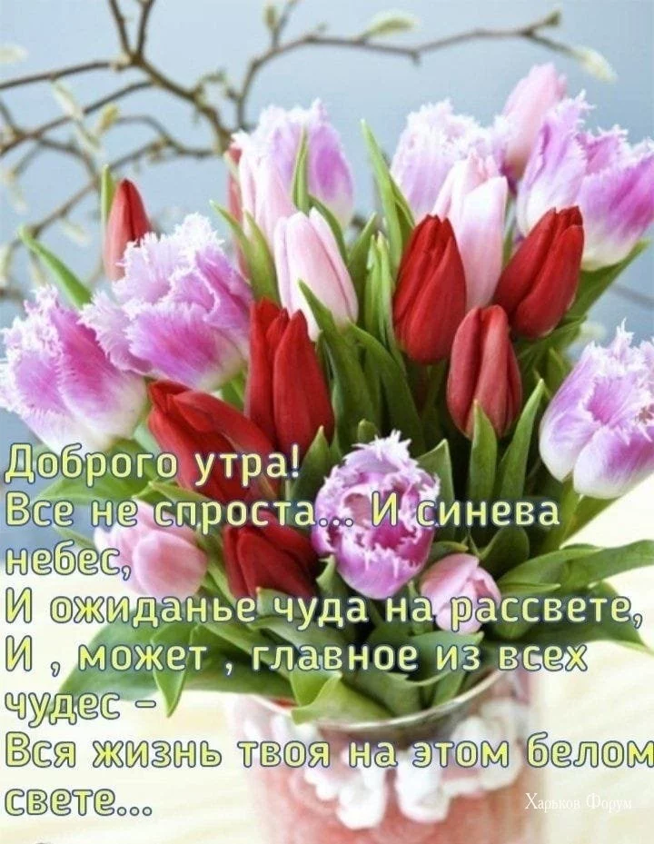 234cab98dbd91da58fd177.webp