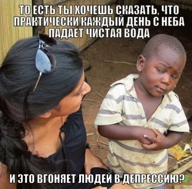 2351618.webp