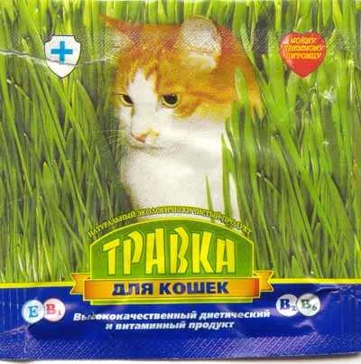 23538341_041.webp