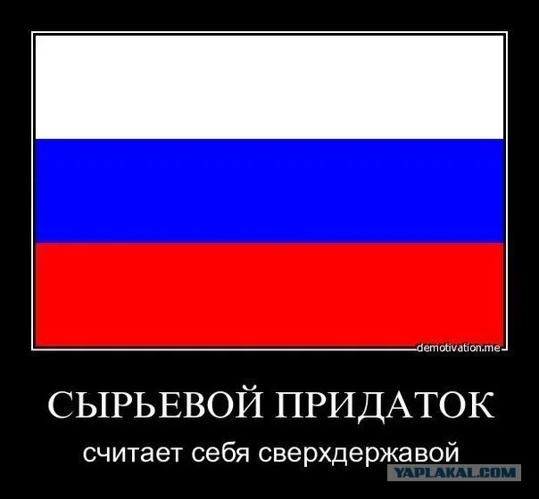 2356536.webp