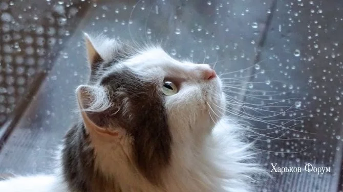235d6b92e9c31adabe89.webp