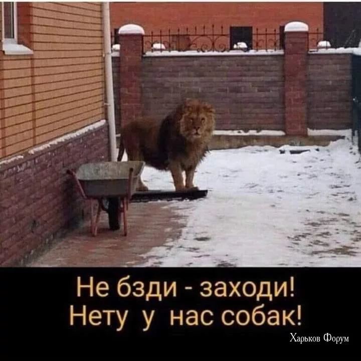 2360ef543d4acb03aae783a.webp