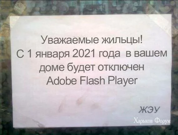 2360ffdc03247a7fe03009.webp