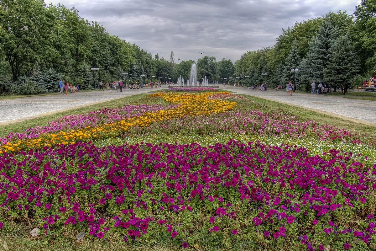 2362.HDR-704108.webp