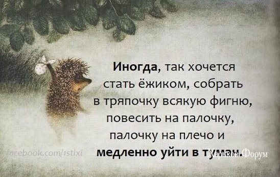 2363d83acbb7d6e6f8ac411b.jpg
