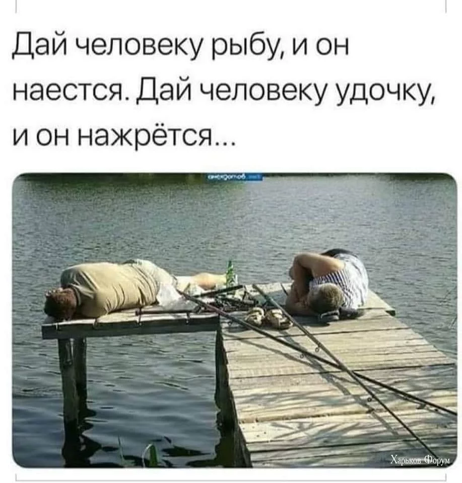 236f842ee220a2e59825e.webp