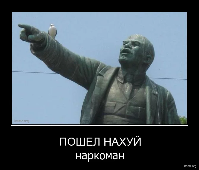 2385034fa8a224235c2.webp