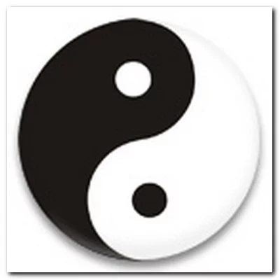 238952637.webp