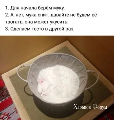 238c988e78d34f06573.webp