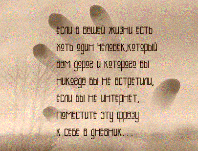 23919186.gif