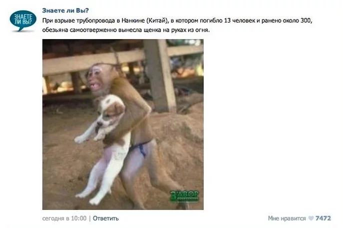 2393071_original.webp