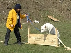 2393447656_ac9d40532c_m.webp