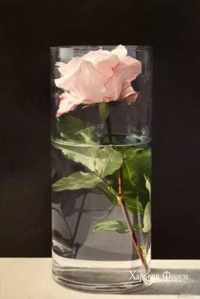 23a92ec05ddb40f10.webp