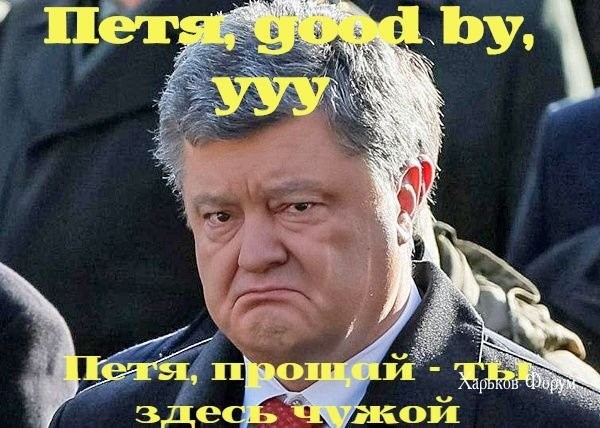23bf4c3b491931c92d.jpg