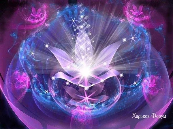 23ce10e02595480f96d7e28.webp