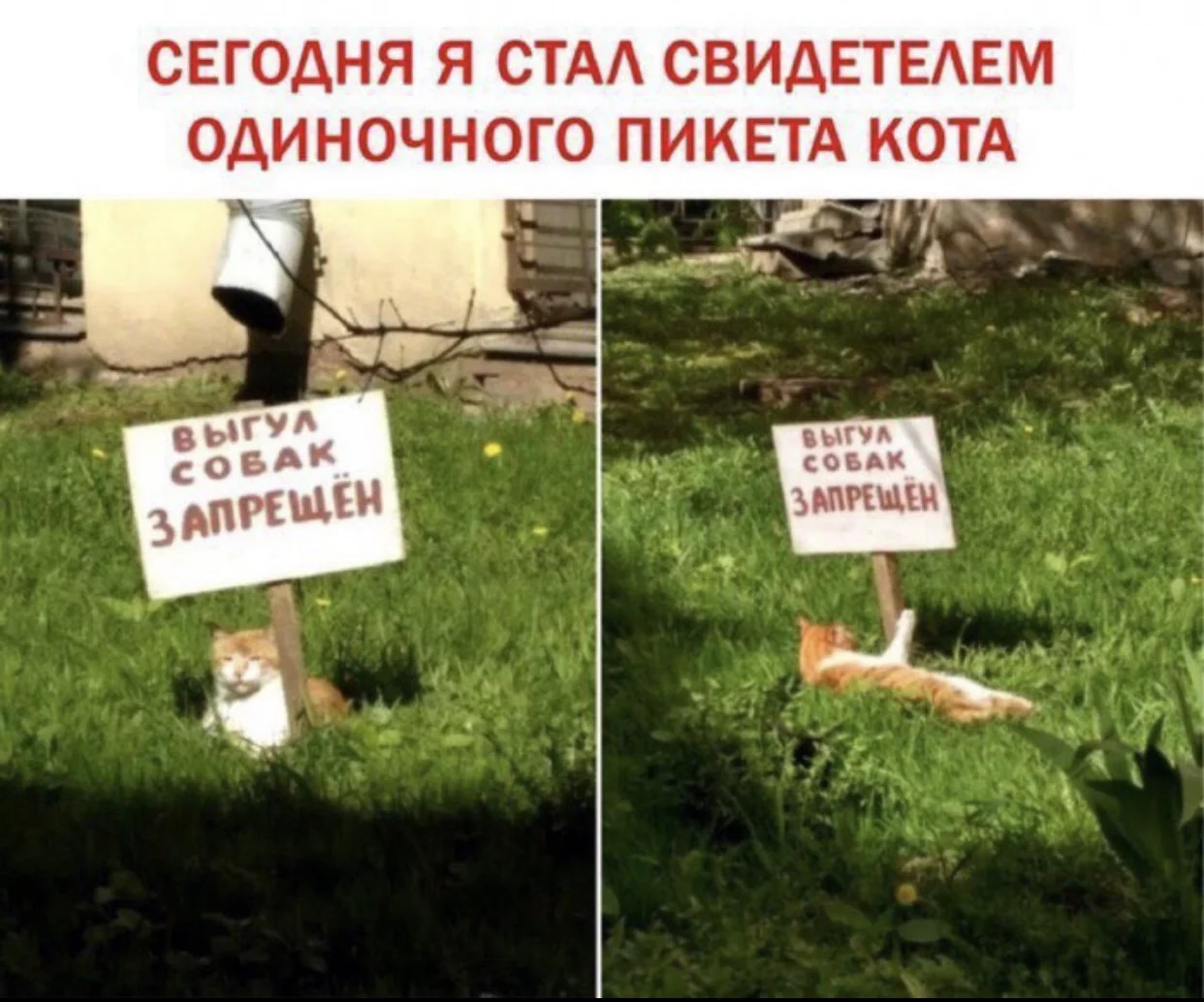 23e18ac5989178278ae094cb5a7ccc233957b1a2.webp