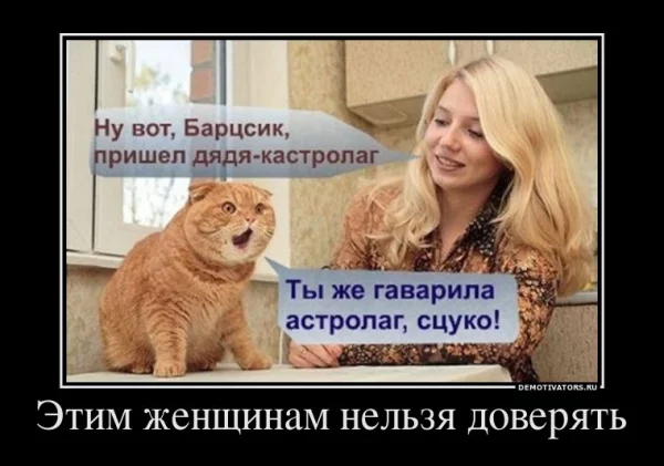 23f349fd9ef98b8cef795a2f79f7b133.webp