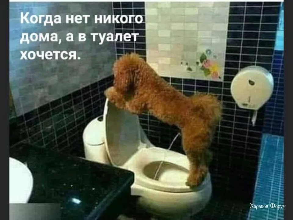 23f66aa2993637de66a92162.webp