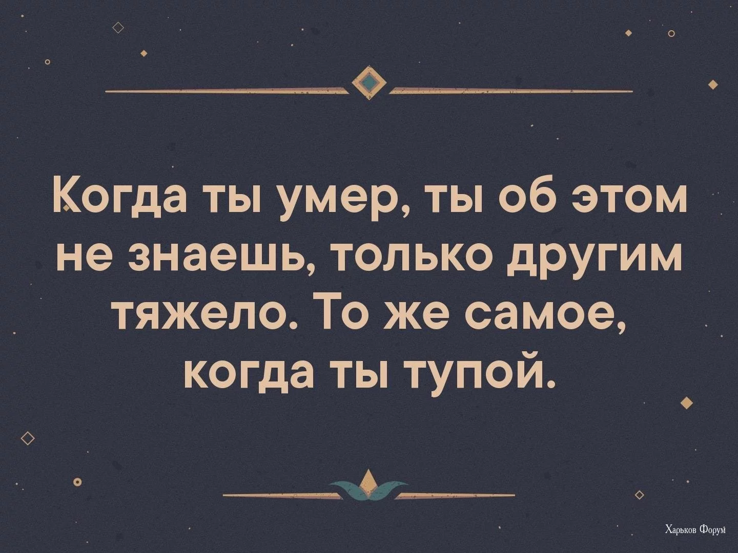 23fda847692ee414912b.webp