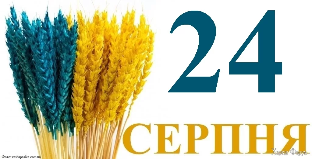 24-SERPNYA.jpg