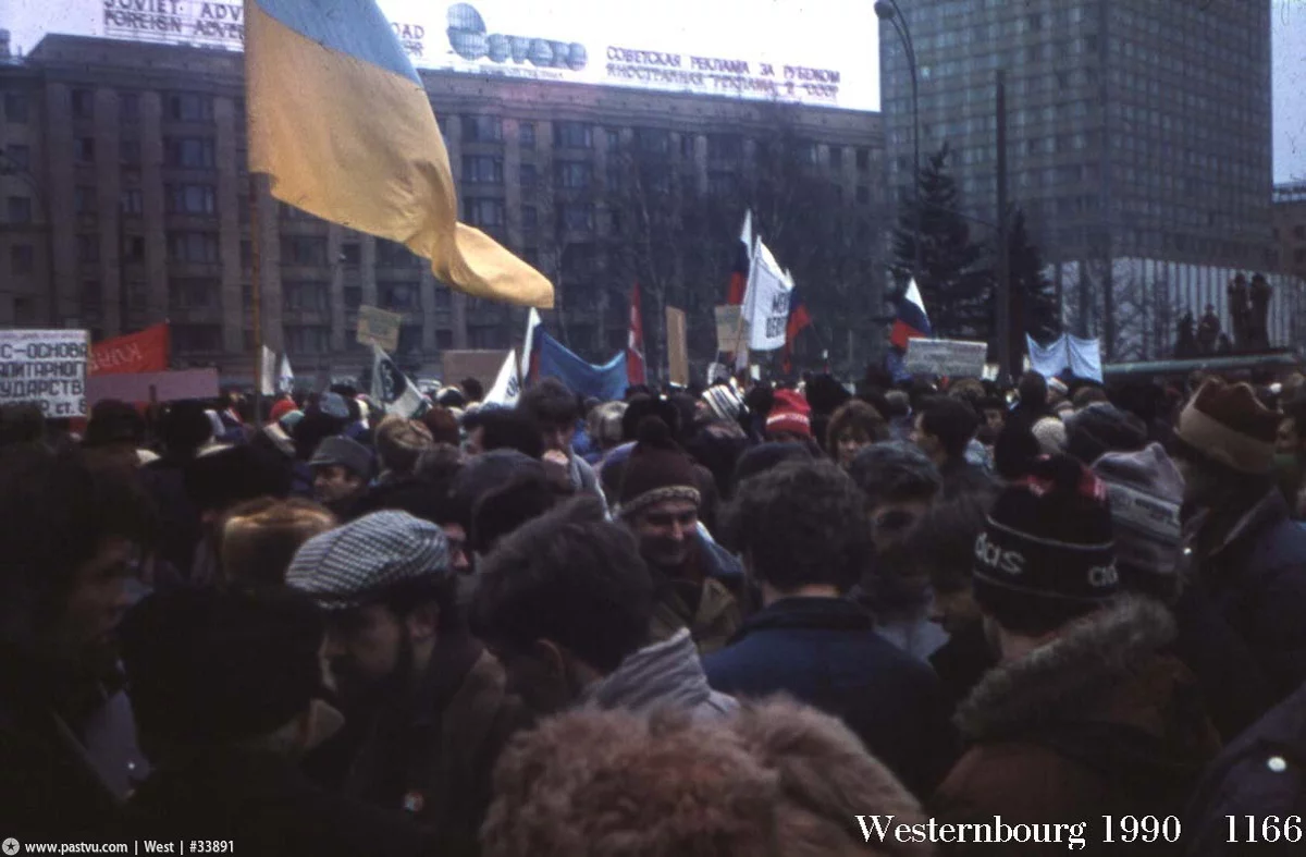 24.webp