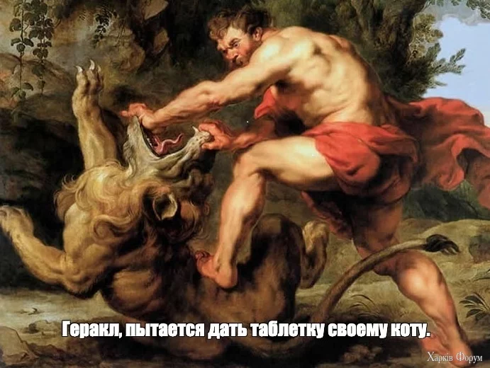 240d7492840e8cf6c237701e90523593.webp
