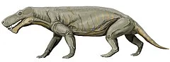 240px-Gorgonops_whaitsii1.webp