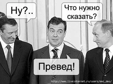 24151355_medved.webp
