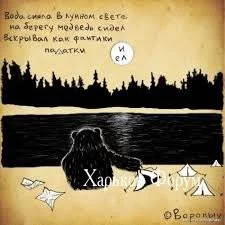 241a0450a474d65f.webp