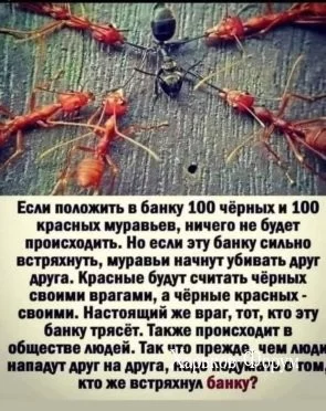 242159cfe888650ce8b91c.webp