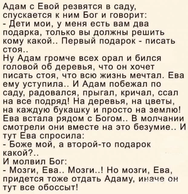 2425f173316695869.webp