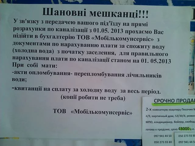 2428505_m.webp
