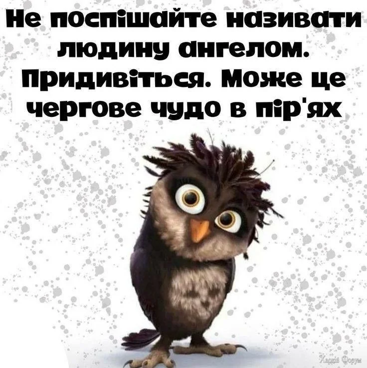 24349bfa24bebe0ab05d1d64b55533df.webp