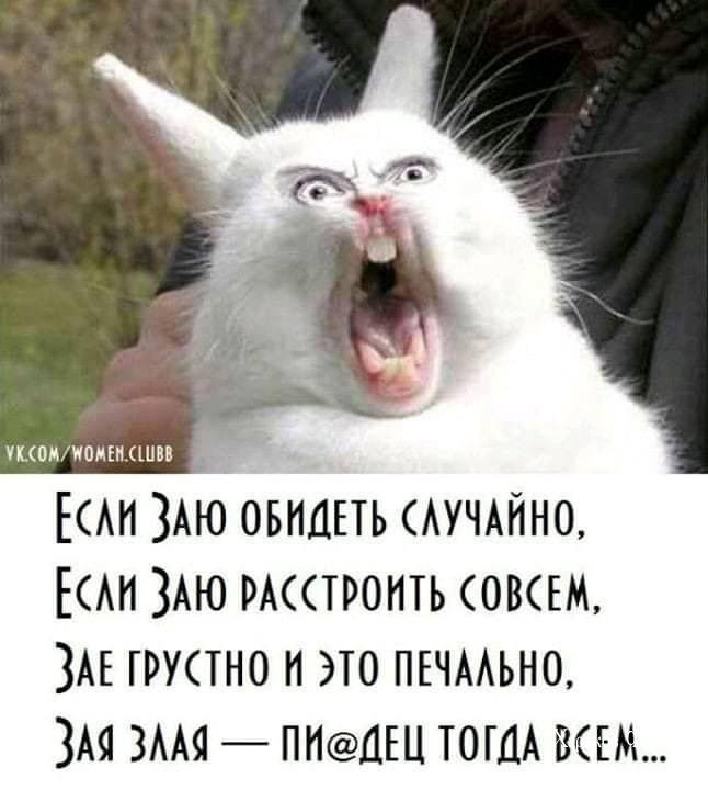 243ea00ee5c1e5b27f3a9a92.jpg
