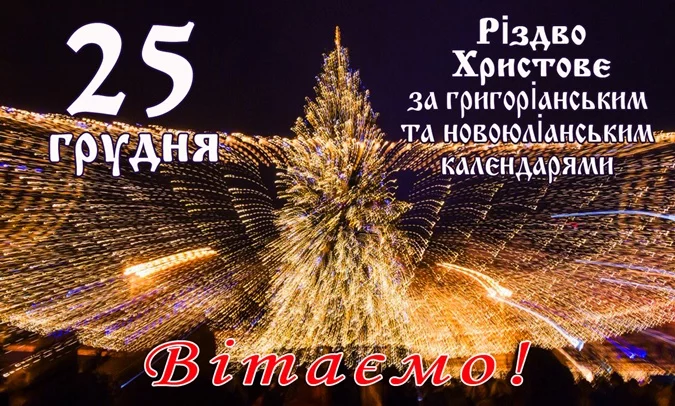 24464838.webp