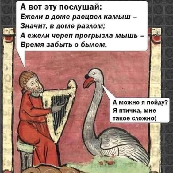 244c6b36db7e05cc96b15015e1abde43.webp