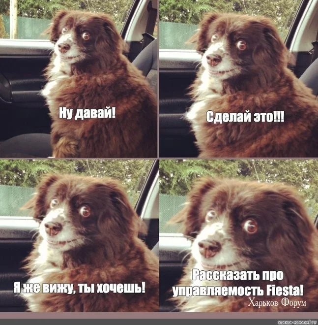 2450b09970b02c88a30e.webp