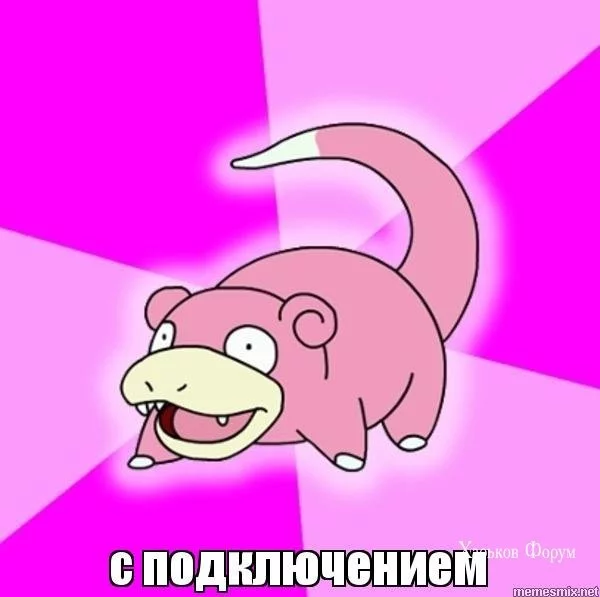 245181bc7097e6a8632ae5.webp