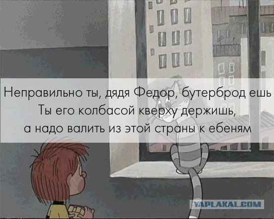 2455367.webp