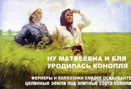 24574.webp