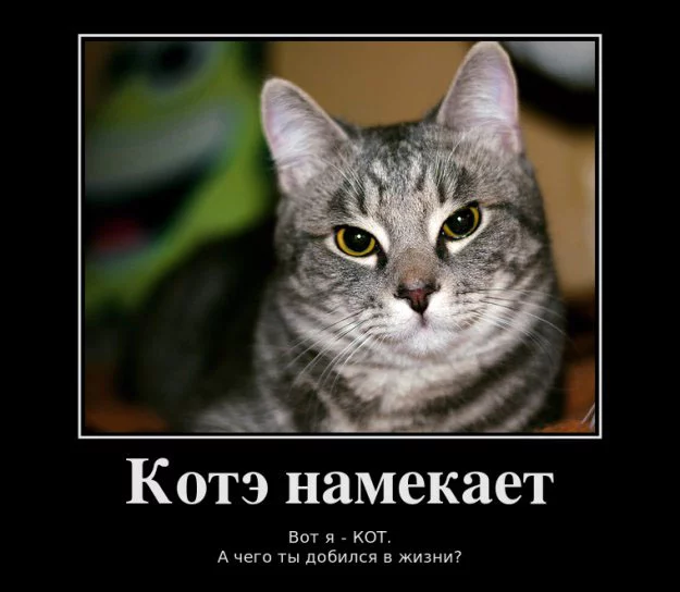 2458a4b58ec5bff6a760f1c3f5f3ab6c.webp