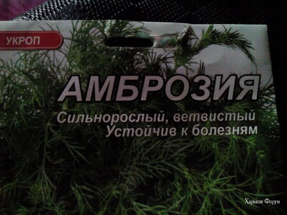 2464e714d284f0eaff.webp