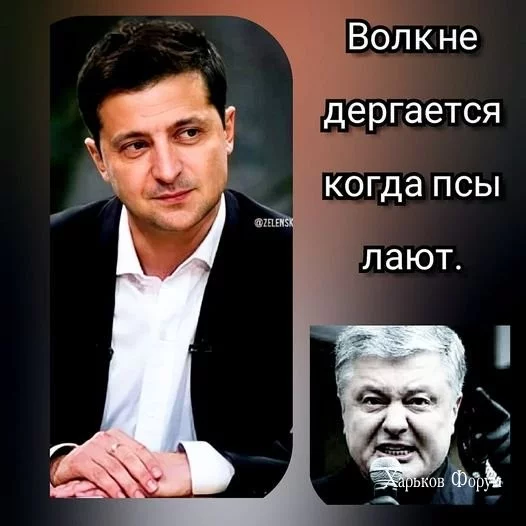 24708163e91e151cf1.webp