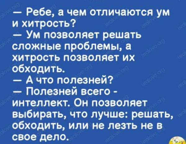247611_600.jpg