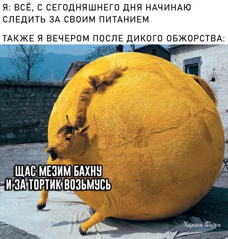 247936299845d24a7c71c969.webp