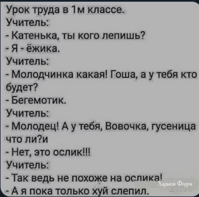 2484e335f5d766b7a6c55e.webp