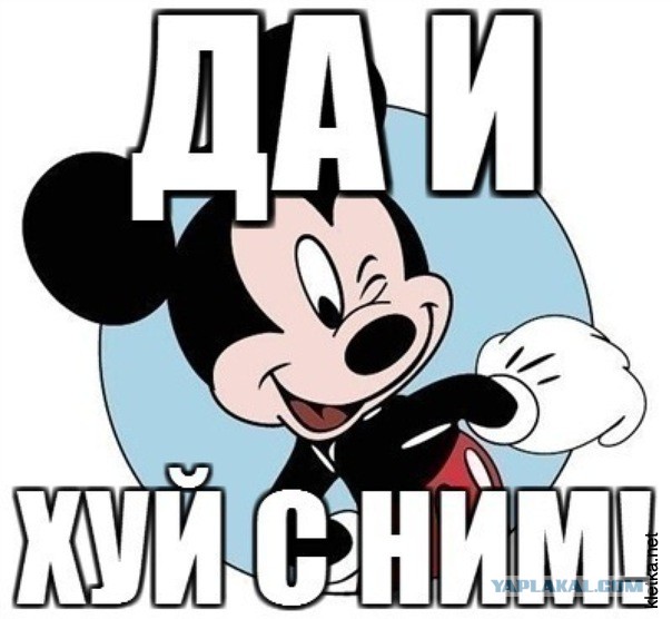 2489421.jpg