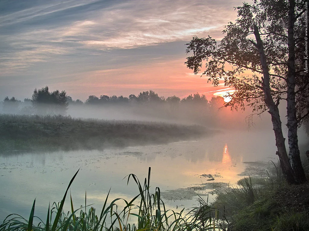 249.webp