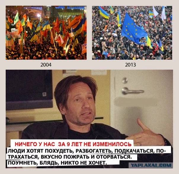 2497267.webp